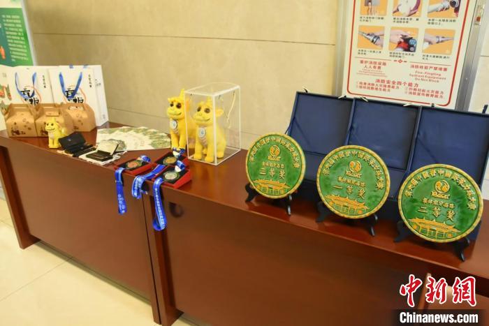 第六届中国晋中国际柔力球大赛落址介休，海内